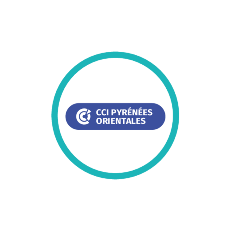 logo cci