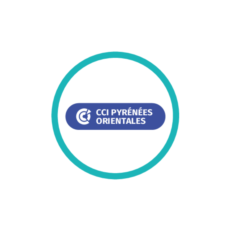 logo cci